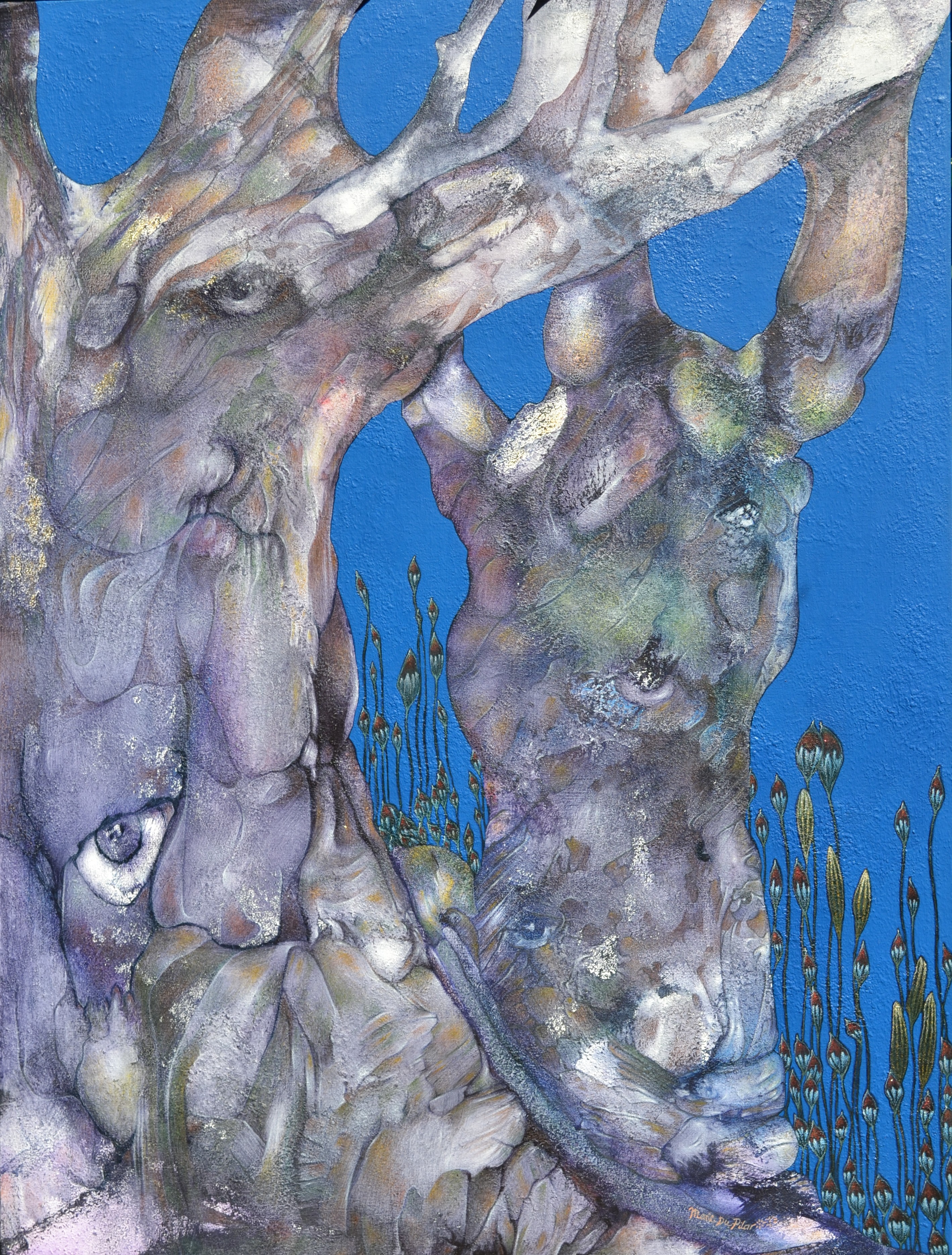 arbres